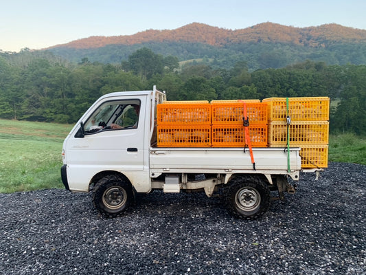 Optimizing Farming with Kei Trucks: Efficiency Unveiled
